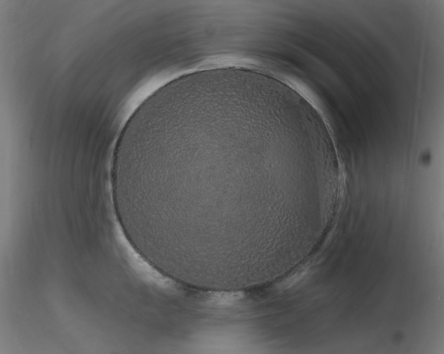 X0000116771055200912171529