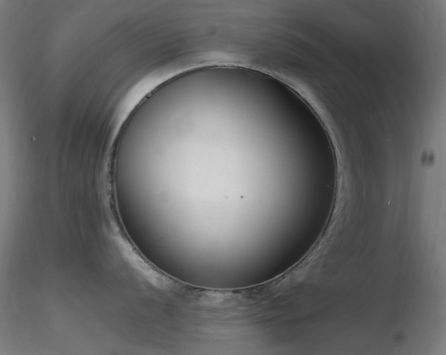 X0000116771056200912171529