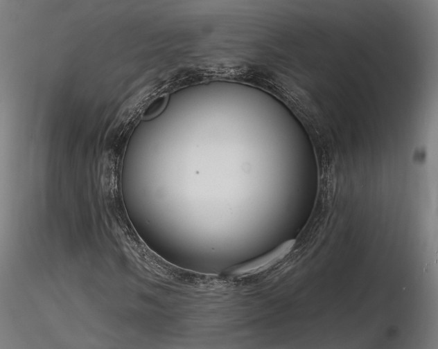 X0000116771058200912171528
