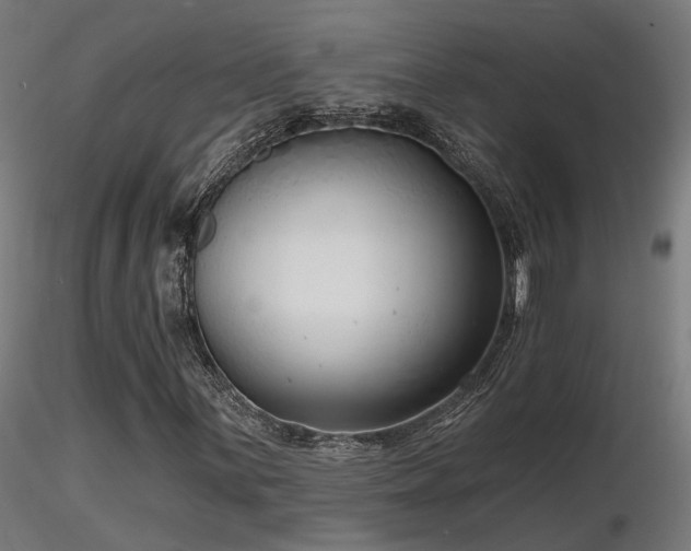 X0000116771059200912171528