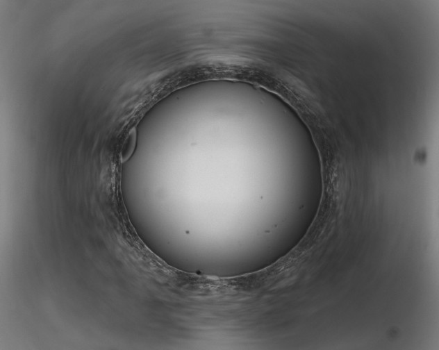 X0000116771061200912171528