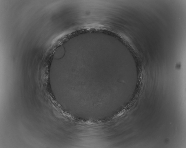 X0000116771063200912171528