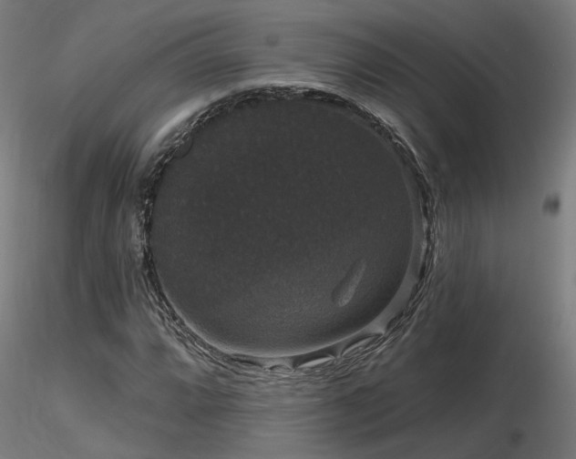 X0000116771064200912171528