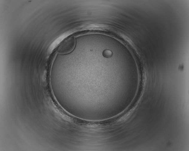 X0000116771066200912171528