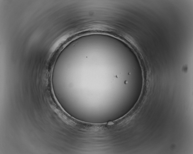 X0000116771067200912171528