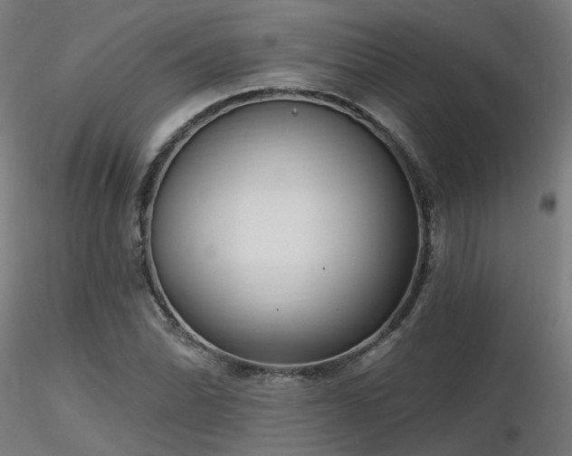 X0000116771070200912171528