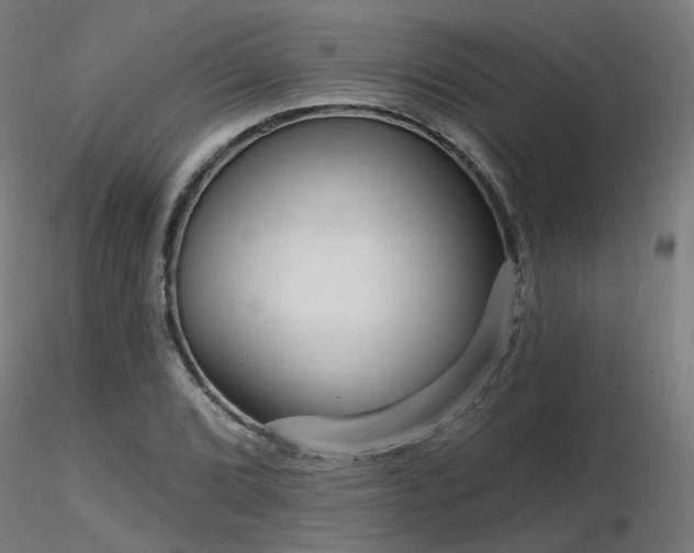 X0000116771072200912171528