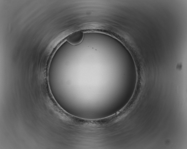 X0000116771073200912171528