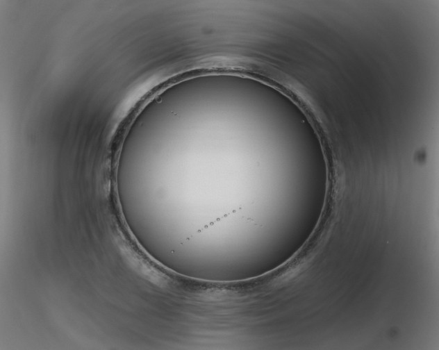 X0000116771075200912171528