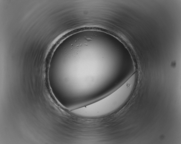 X0000116771076200912171528