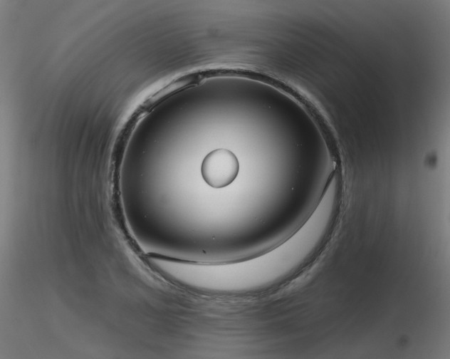 X0000116771077200912171528