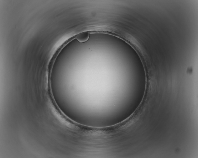 X0000116771079200912171528