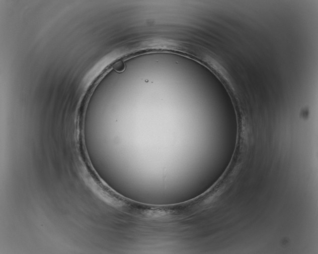 X0000116771082200912171528