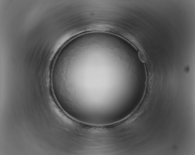 X0000116771083200912171528
