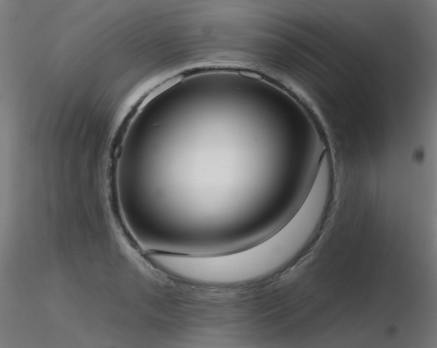 X0000116771085200912171528