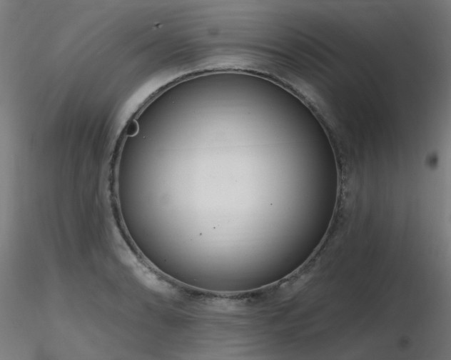 X0000116771086200912171528