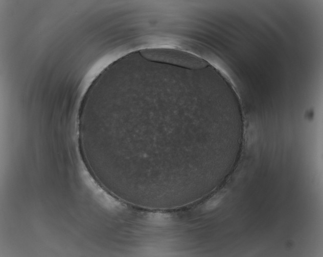 X0000116771088200912171528