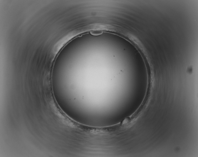 X0000116771089200912171528