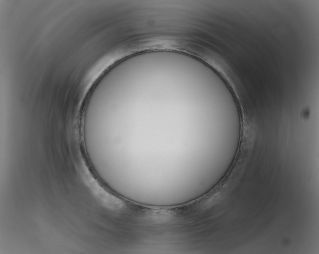 X0000116771090200912171528