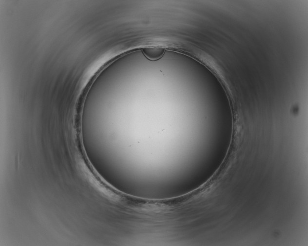 X0000116771091200912171528