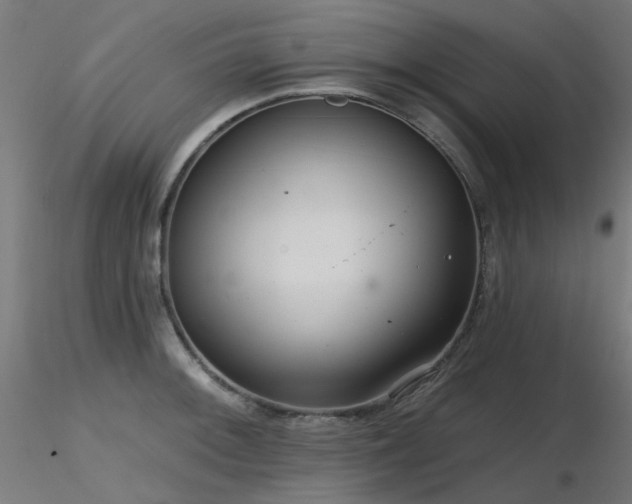 X0000116771092200912171528