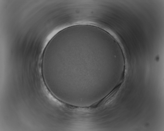X0000116771102200912171527