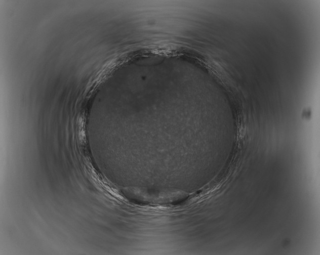 X0000116771106200912171527