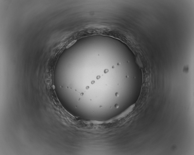 X0000116771109200912171527
