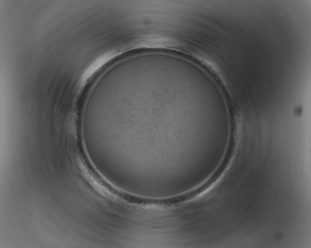 X0000116771114200912171527