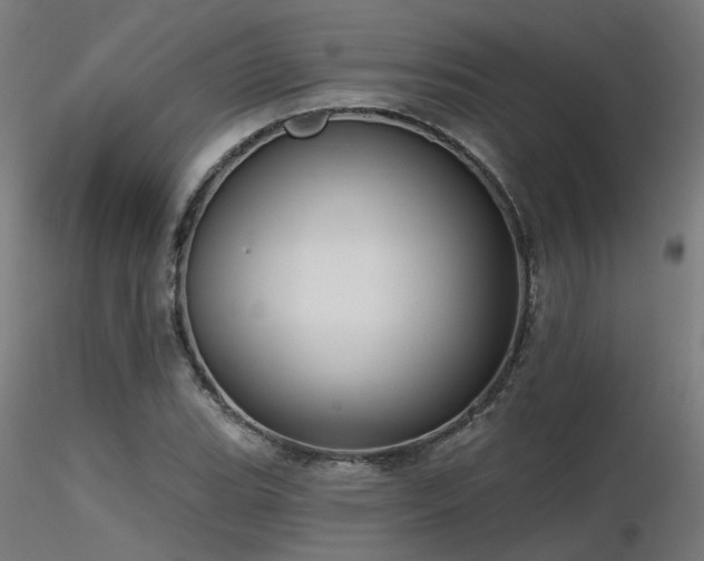 X0000116771119200912171527