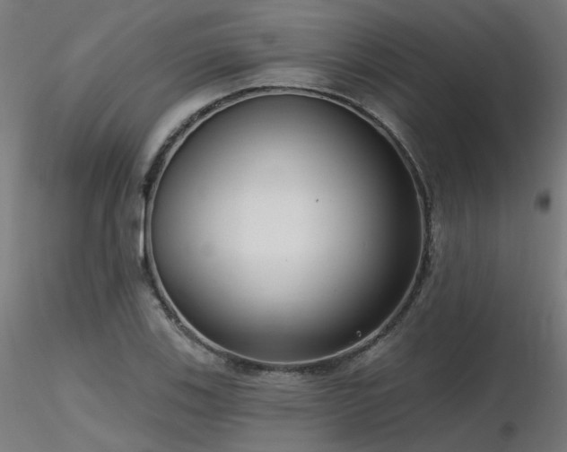X0000116771123200912171527