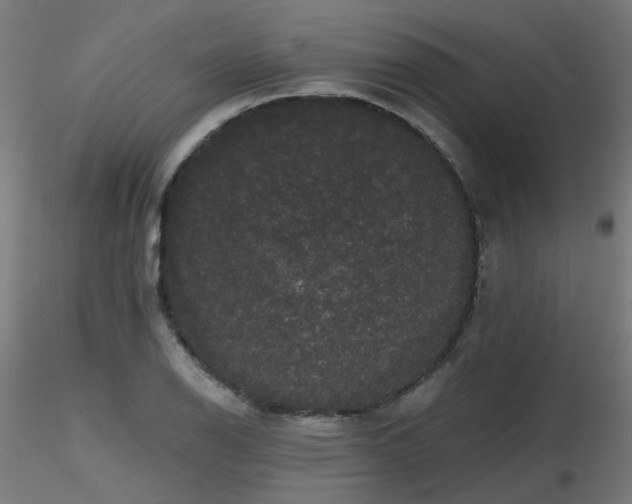 X0000116771126200912171527