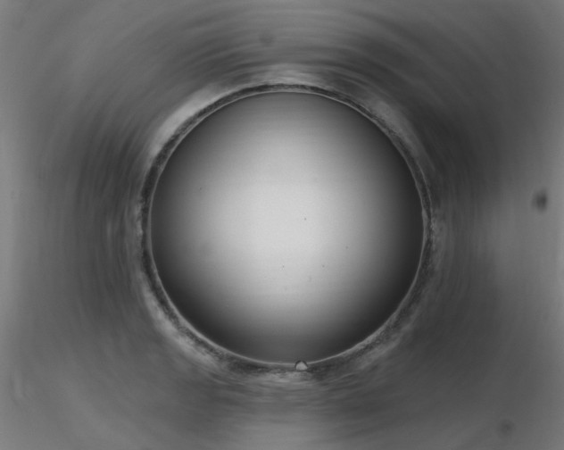 X0000116771133200912171527