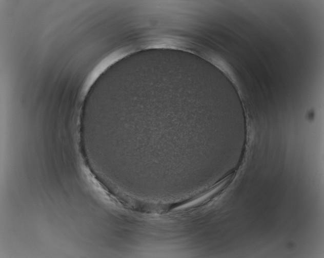 X0000116771138200912171527