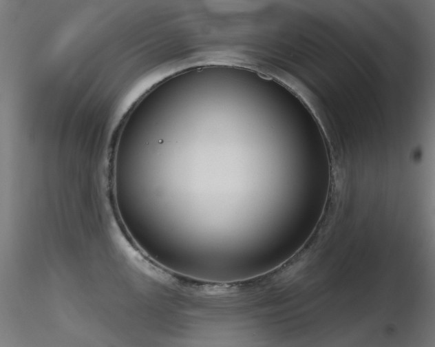 X0000116771147200912171527