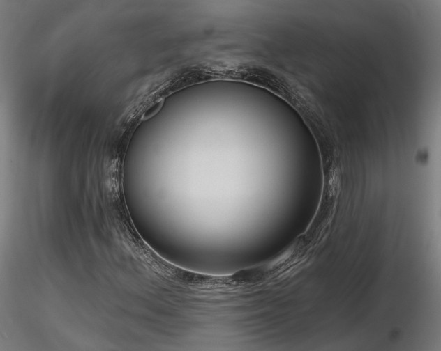 X0000116771156200912171527