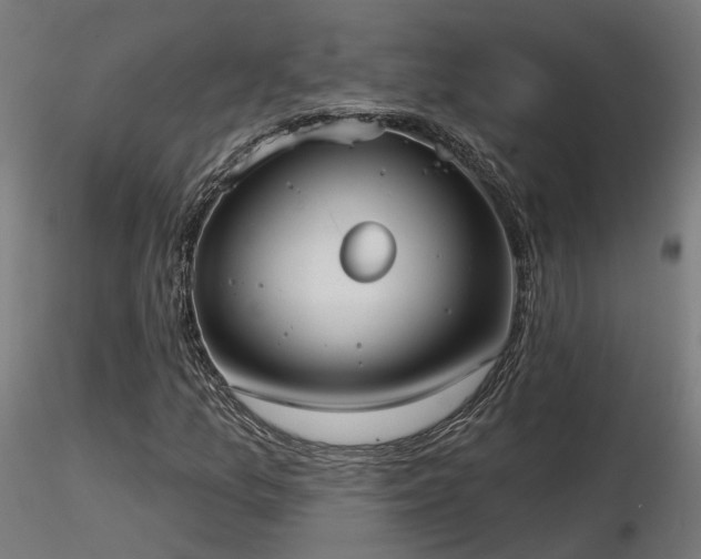 X0000116771157200912171527