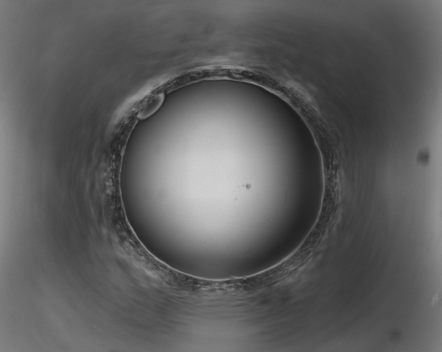 X0000116771159200912171527