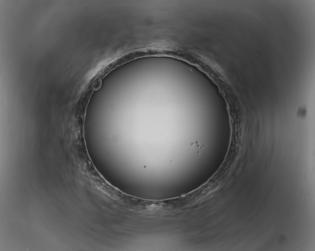 X0000116771160200912171527