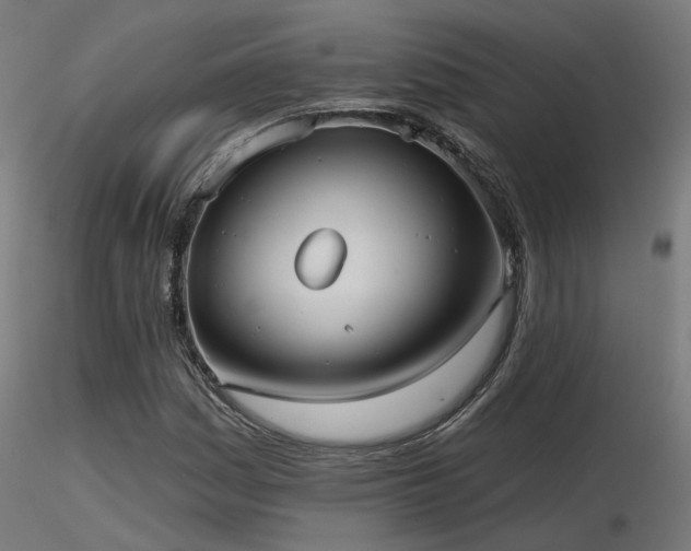 X0000116771161200912171527