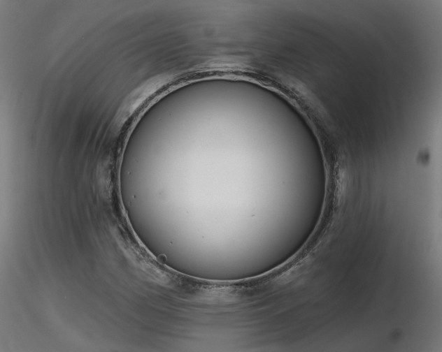 X0000116771162200912171527