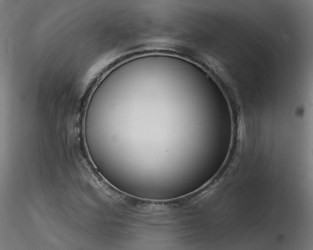 X0000116771164200912171527
