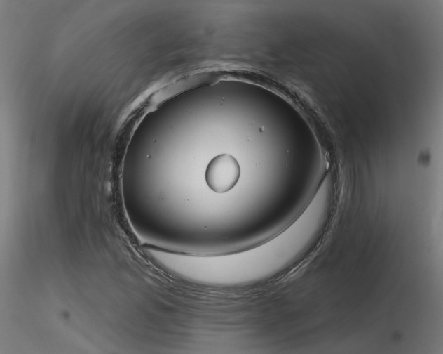 X0000116771165200912171527