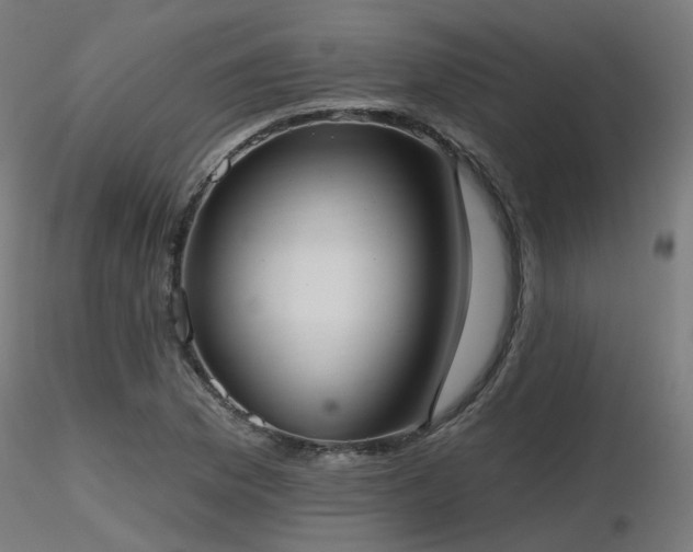 X0000116771169200912171527