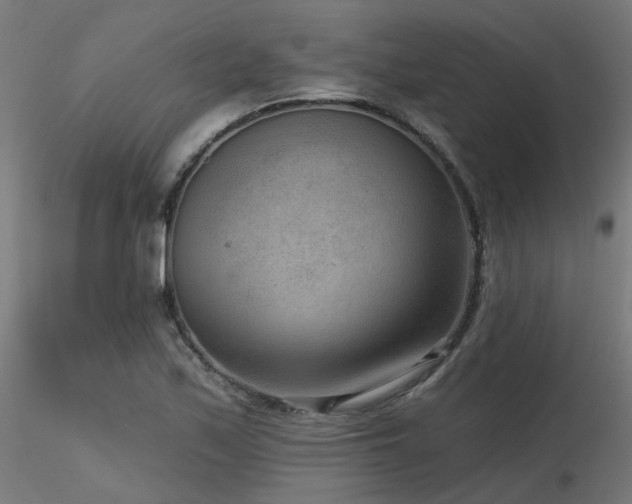 X0000116771171200912171527