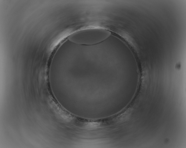 X0000116771173200912171526