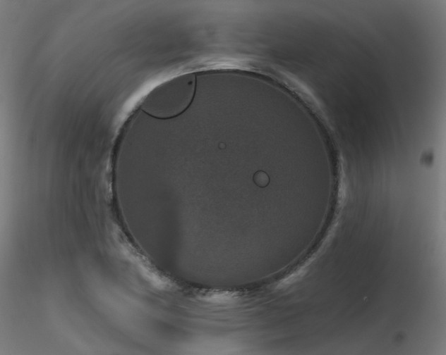 X0000116771174200912171526