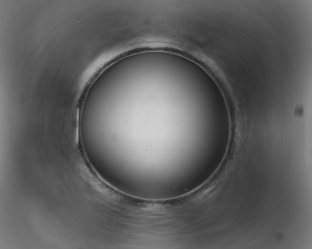 X0000116771175200912171526
