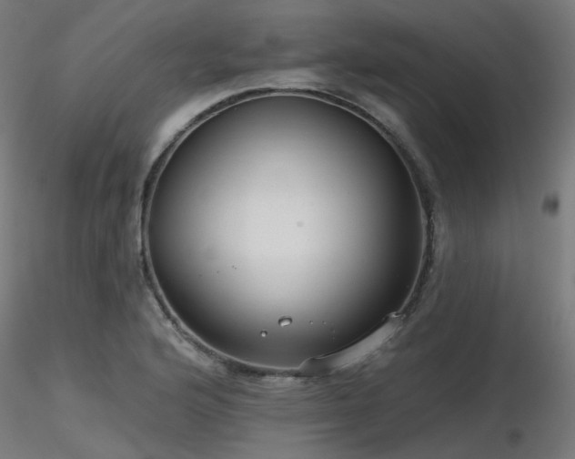 X0000116771176200912171526