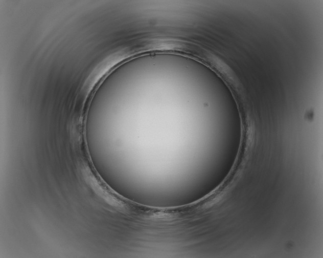 X0000116771178200912171526